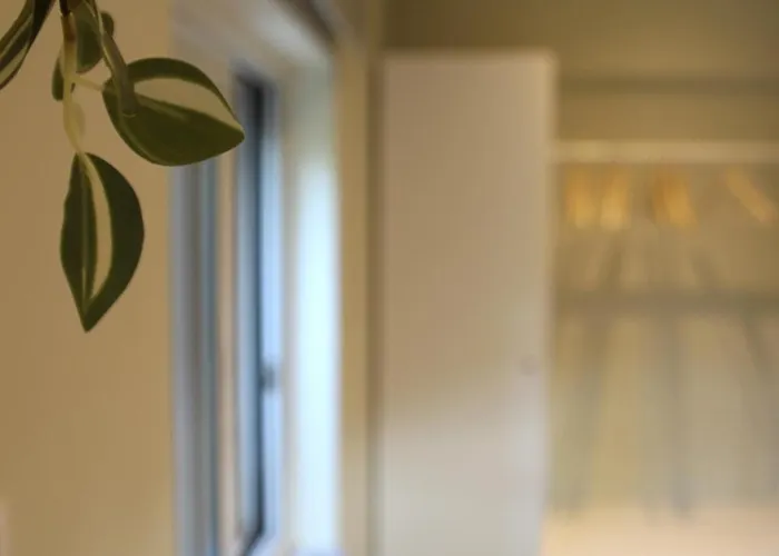 Bellisima Campagna Pelekapina - Chania Crete * Chania (Crete)